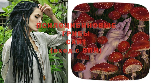 гашик Балахна