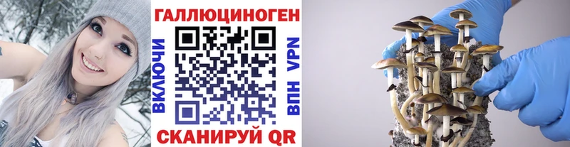 Галлюциногенные грибы мухоморы Райчихинск